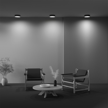 Светильник накладной RONDO 24W Black 3000K | Ø220x60mm 